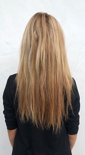 larisa-love-bright-diamond-before Larisa Love's client before hair color