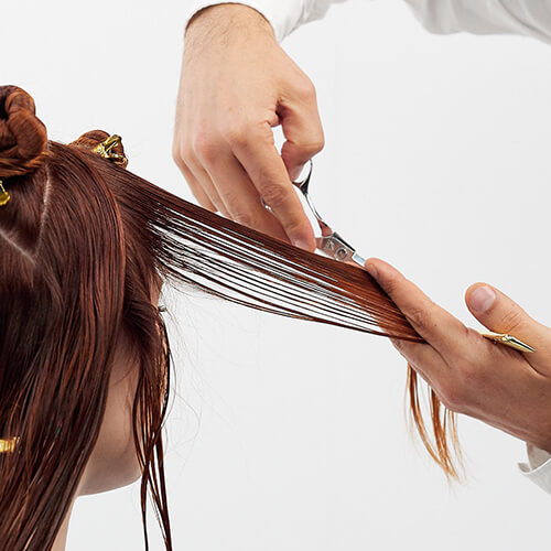 Stylist Cutting Hair