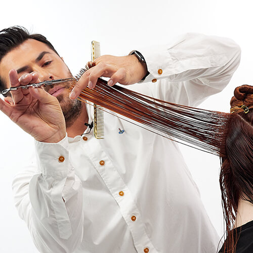 Stylist Cutting Hair