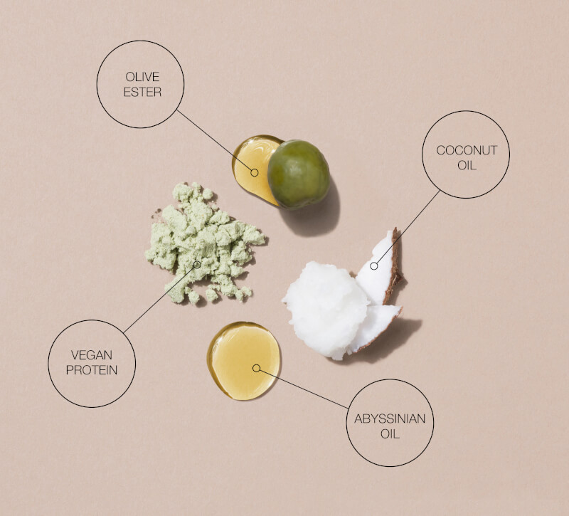 Strengthen Ingredients