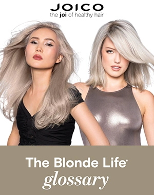 Blonde Life Swatch Chart Cover Photo