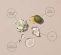 Hydrate Ingredients
